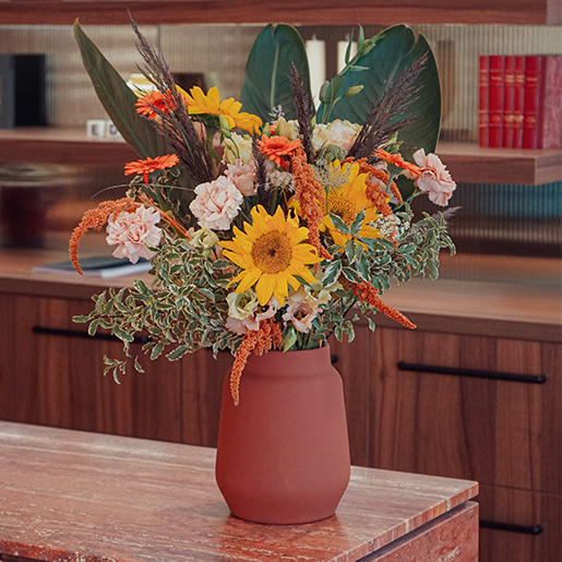 edgard-opticiens-actualites